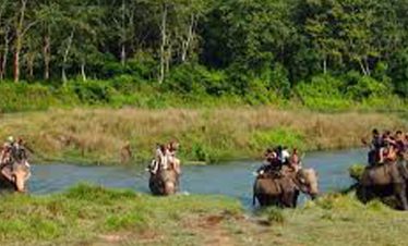 Kathmandu Valley and Chitwan Tour